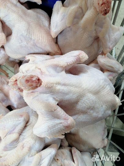 Домашние тушки цыпленка бройлера
