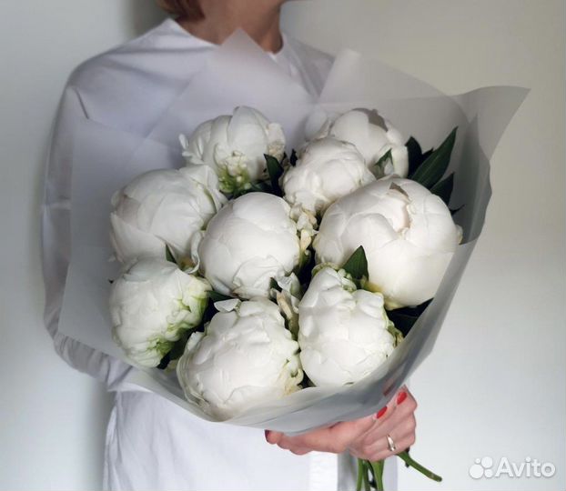 Пионы белые