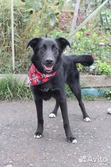 Подросток Берта бесплатно