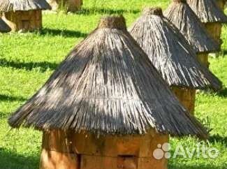 Колода (борть) для пчел