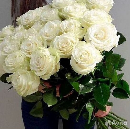 Розы Цветы Букеты 25 151 201 101 301 501 опт