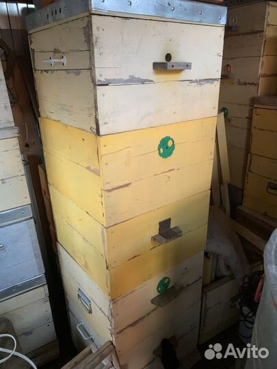 Ульи дадан и рута