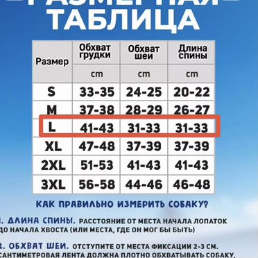 Комбинезон для средней собаки