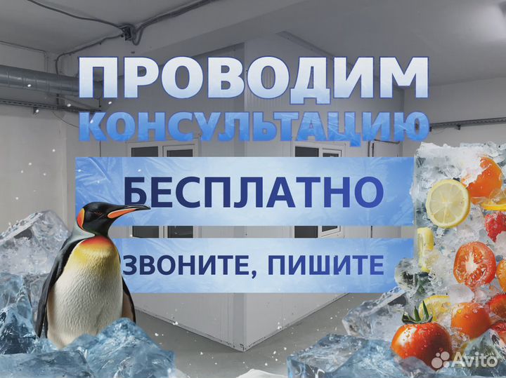 Холодильная камера Промышленная