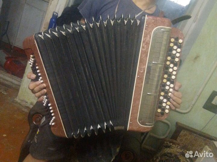 Баян. Марка,Melodia