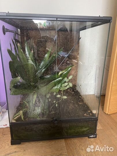 Террариум для рептилий бу