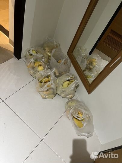 Манго из тайланда