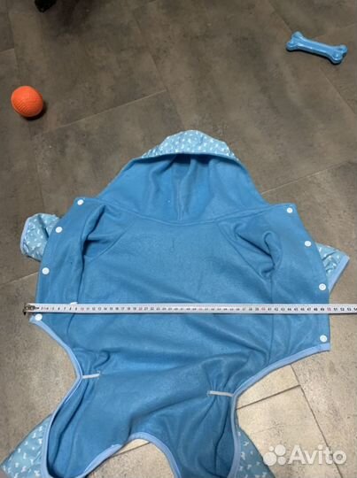 Одежда для собак