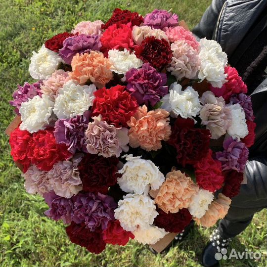 Букет из разноцветных диантусов 21 шт