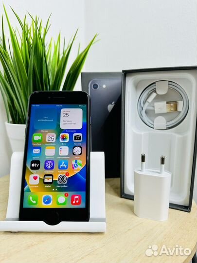 iPhone 8, 256 ГБ