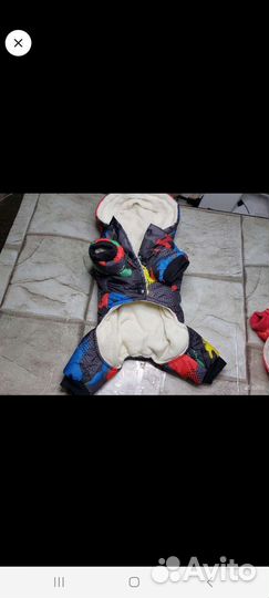 Комбинезоны для собак