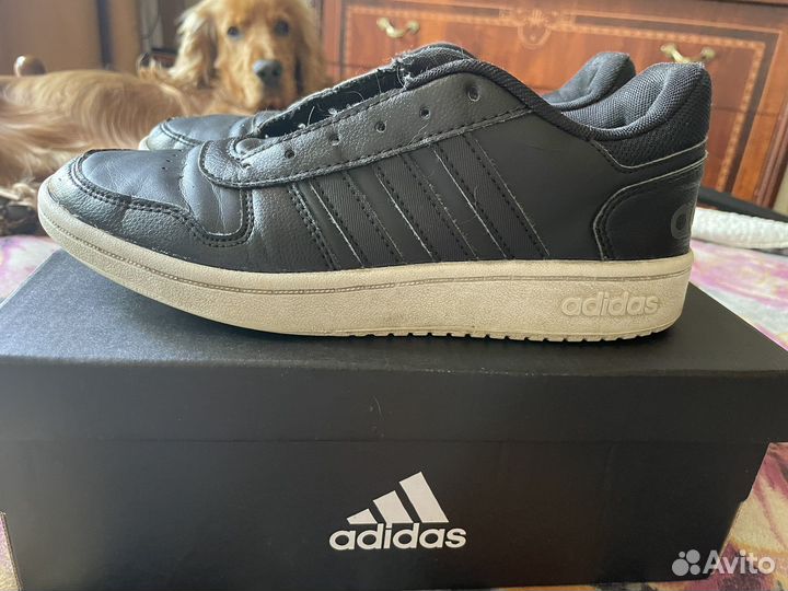 Женские вещи и обувь пакетом