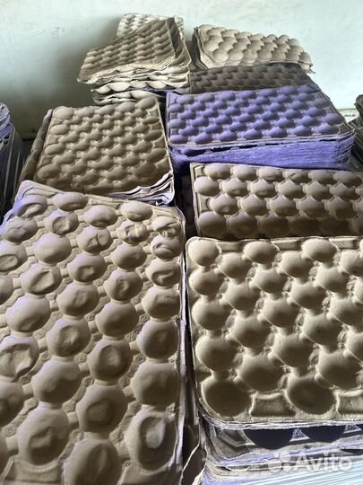 Альвеола (ячейка для яблок)