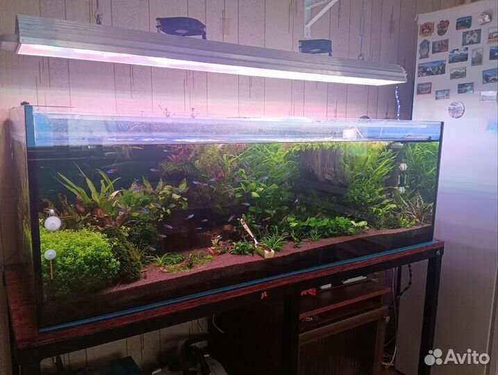 Аквариум