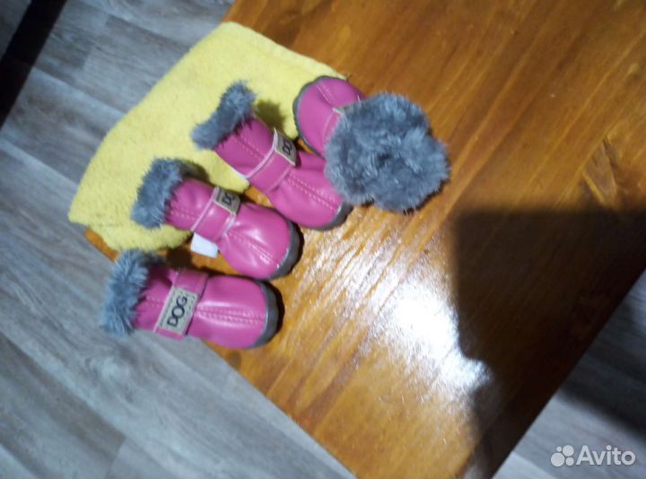 Ботиночки для собак мелких пород