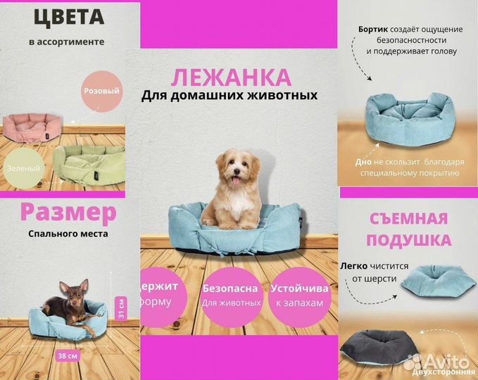 Инфографика