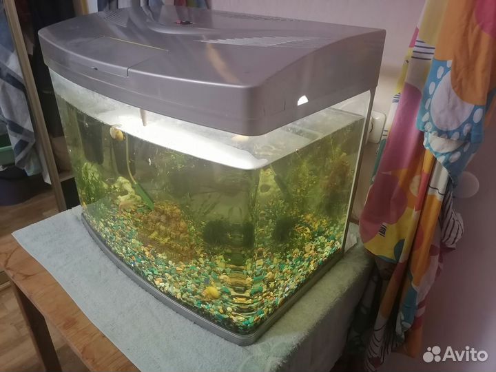 Аквариум 100л