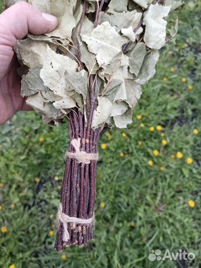 Веники для бани, травы, запарки