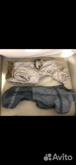 Комбинезоны для собаки