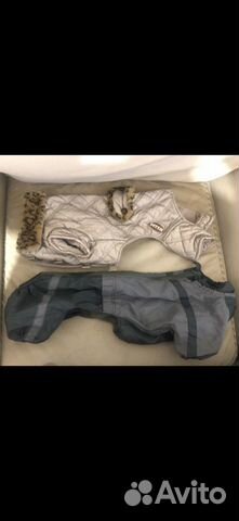 Комбинезоны для собаки