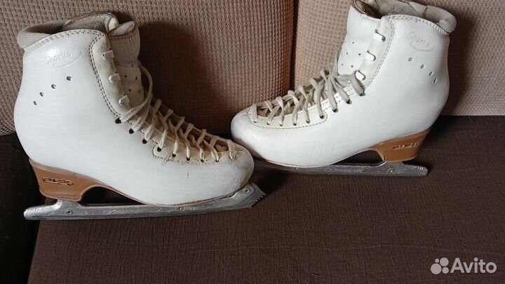 Коньки фигурные Edea Chorus 230