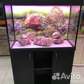 Готовые угловые аквариумы с тумбой цены Аква-Нара