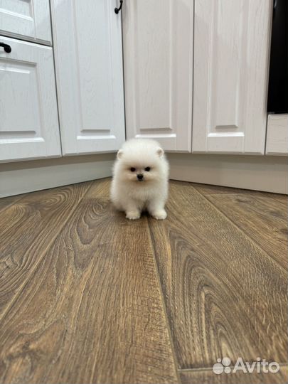 Супер мини кнопочки