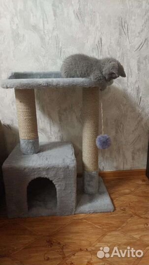 Когтеточка/ домик для кошки/когтедралка