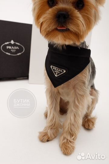 Ошейник-воротник Prada