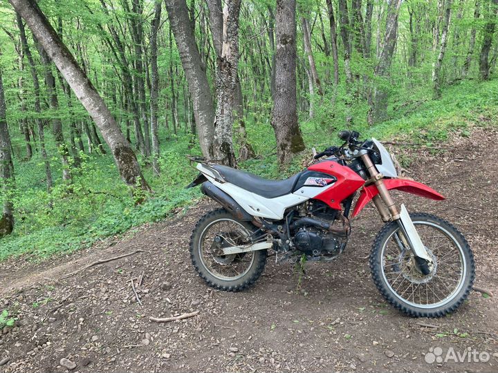 Irbis ttr 250r