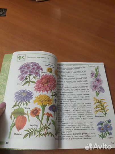 От земли до неба А.А. Плешаков