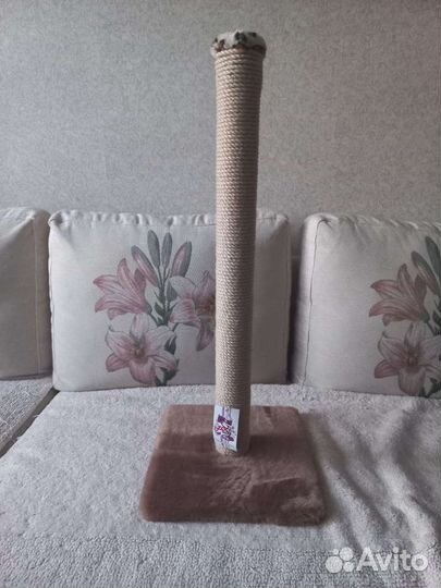 Когтеточка