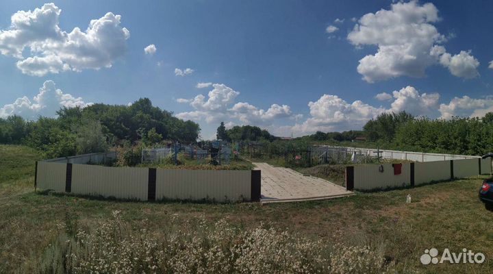 Спил деревьев