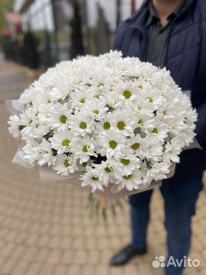 Букет из 25 хризантем