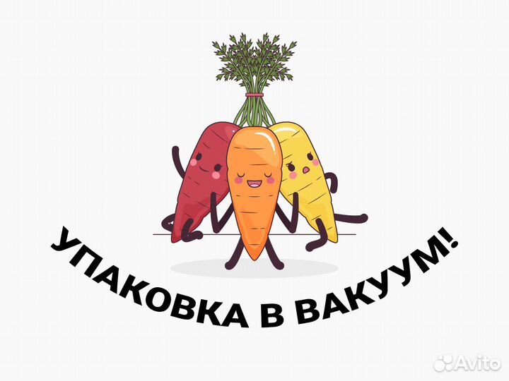 Вахта Москва упаковка овощей выплаты всем