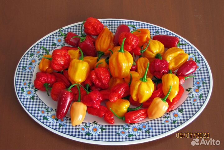 Семена острого и супер острого перца