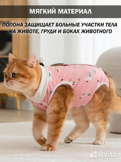 Попона послеоперационная для кошек или собак