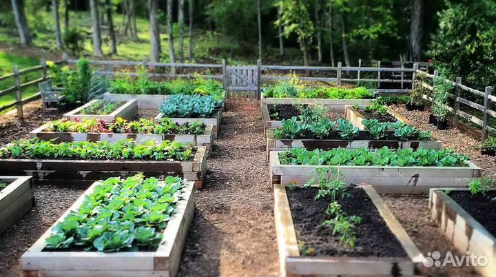 Заказать/Растительный/Плодородный грунт/доставка