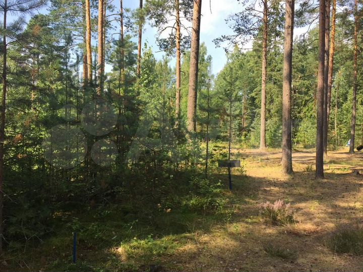 Участок 1,08 га (ИЖС)