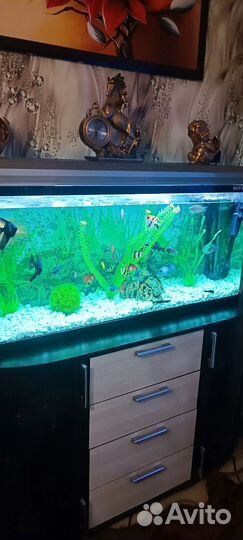 Аквариум
