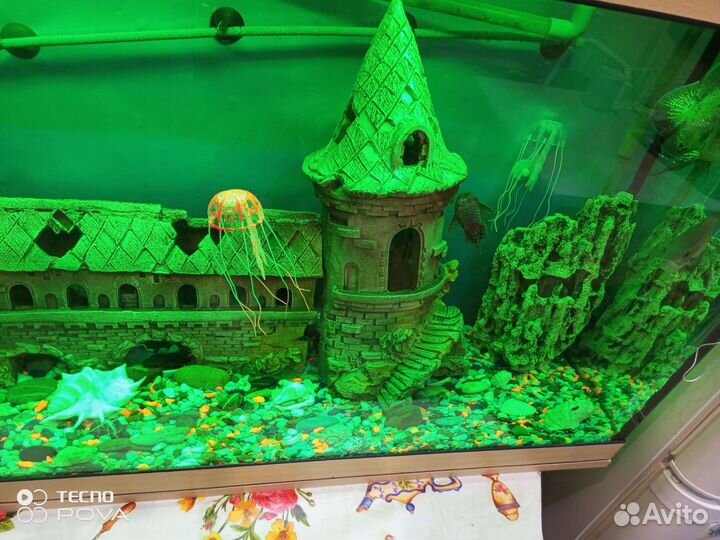 Аквариум