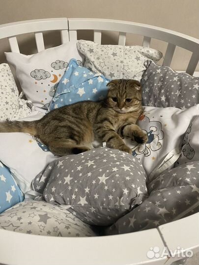 Детская кроватка трансформер 7 в 1