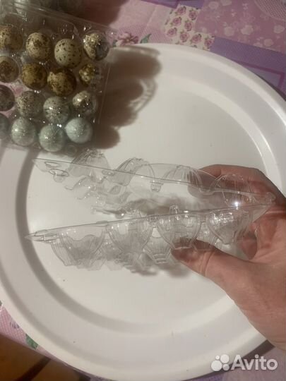 Лоток для перепелинных яиц (коррексы)