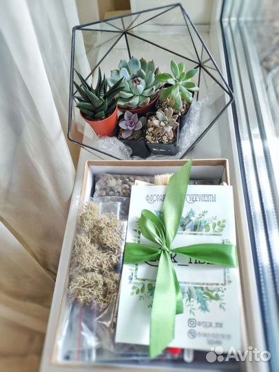 Набор для создания флорариума