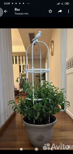 Опора для вьющихся растений, роз, клематисов