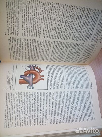 Кардиология детского возраста. Мощича 1986г