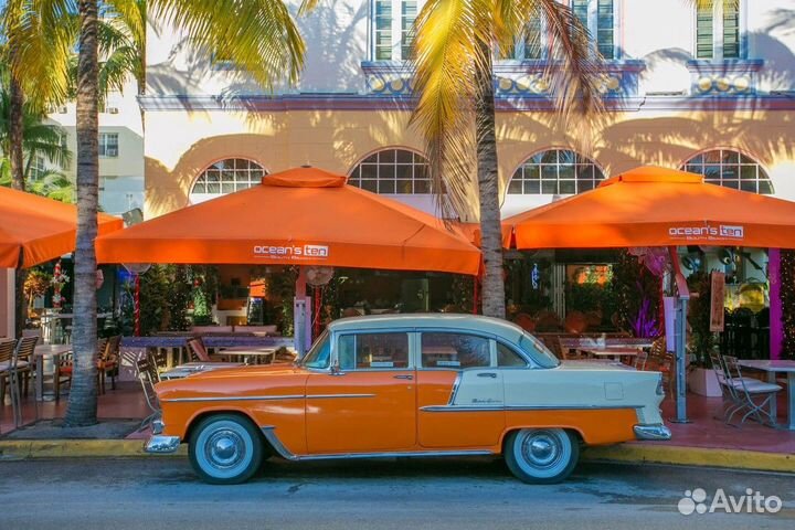 Экскурсия — Майами — Всё О«Курорте Миллионеров». О