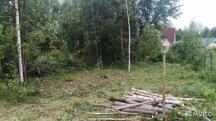 Измельчитель веток дробилка в аренду