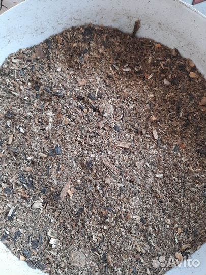 Отходы семечки