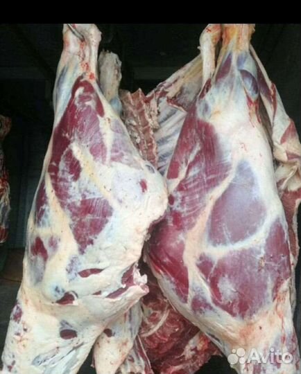 Мясо говядина